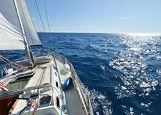 A sailboat gliding over sparkling blue ocean waters A sailboat gliding over sparkling blue ocean waters